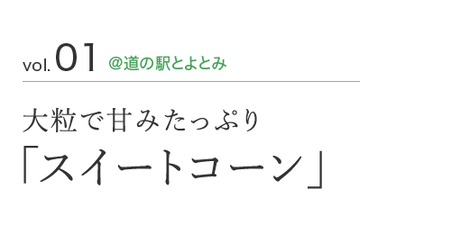 vol.01 @道の駅とよとみ 大粒で甘みたっぷり 「スイートコーン」