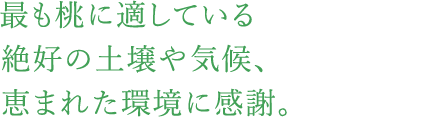 最も桃に適している絶好の土壌や気候、恵まれた環境に感謝。