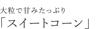 大粒で甘みたっぷり「スイートコーン」