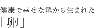 健康で幸せな鶏から生まれた「卵」