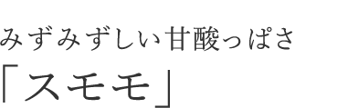 みずみずしい甘酸っぱさ「スモモ」