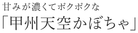 甘みが濃くてポクポクな 「甲州天空かぼちゃ」