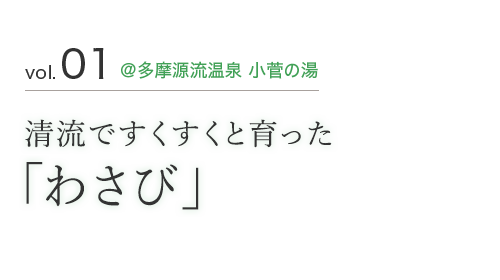 vol.01 @多摩源流温泉 小菅の湯 清流ですくすくと育った　「わさび」