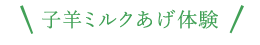 子羊ミルクあげ体験