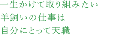 一生かけて取り組みたい羊飼いの仕事は自分にとって天職