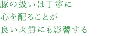 豚の扱いは丁寧に心を配ることが良い肉質にも影響する