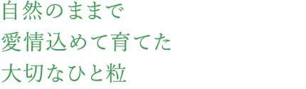 自然のままで愛情込めて育てた大切なひと粒