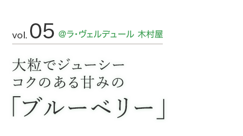 vol.05 @ラ・ヴェルデュール 木村屋 大粒でジューシーコクのある甘みの「ブルーベリー」