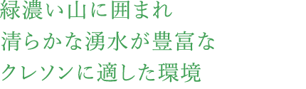 緑濃い山に囲まれ清らかな湧水が豊富なクレソンに適した環境