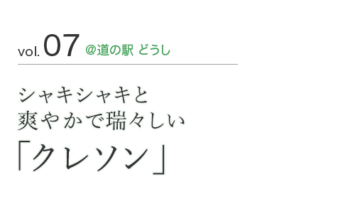 vol.07 @道の駅 どうし　シャキシャキと 爽やかで瑞々しい 「クレソン」