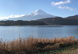 奥河口湖と富士山