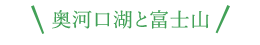 奥河口湖と富士山