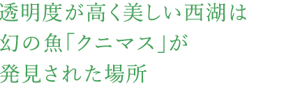 透明度が高く美しい西湖は幻の魚「クニマス」が発見された場所