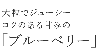 大粒でジューシーコクのある甘みの「ブルーベリー」