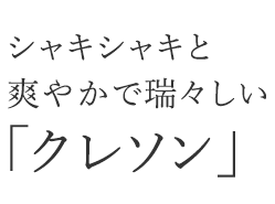 シャキシャキと爽やかで瑞々しい「クレソン」