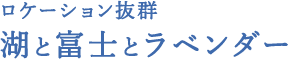 ロケーション抜群 湖と富士とラベンダー