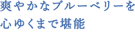 爽やかなブルーベリーを 心ゆくまで堪能