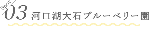 03 河口湖大石ブルーベリー園