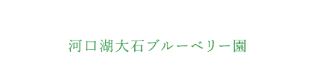 河口湖大石ブルーベリー園