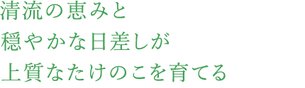 清流の恵みと穏やかな日差しが上質なたけのこを育てる