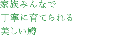 家族みんなで丁寧に育てられる美しい鱒