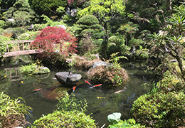 夢窓国師の日本庭園