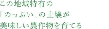 この地域特有の「のっぷい」の土壌が美味しい農作物を育てる