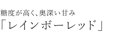 糖度が高く、奥深い甘み「レインボーレッド」