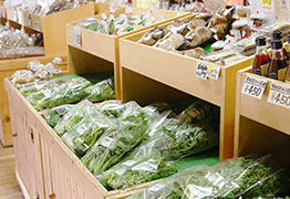 地元野菜の直売所