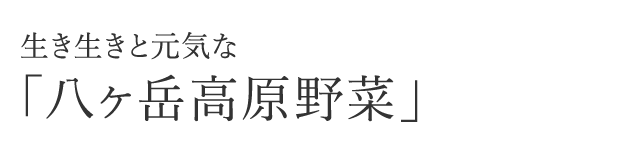 生き生きと元気な「八ヶ岳高原野菜」