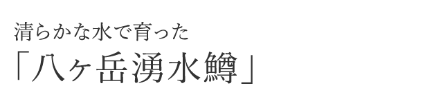 清らかな水で育った「八ヶ岳湧水鱒」