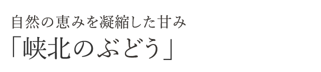 自然の恵みを凝縮した甘み「峡北のぶどう」