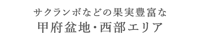 サクランボなどの果実豊富な<br>甲府盆地・西部エリア