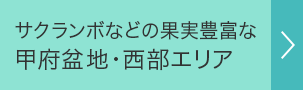 甲府盆地・西部エリア