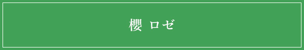 櫻 ロゼ　小海老とマンゴーのシャルロット仕立て