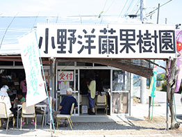 小野洋蘭果樹園