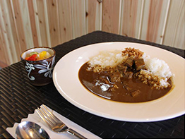 天謝園 熟成ワイン煮込みカレー