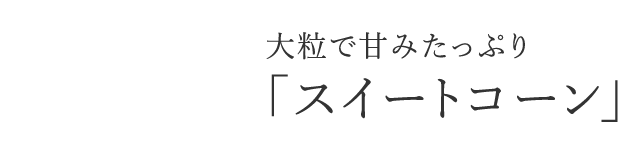 大粒で甘みたっぷり「スイートコーン」