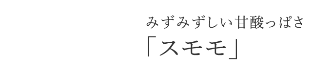 みずみずしい甘酸っぱさ「スモモ」