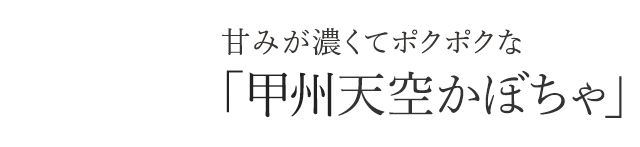 甘みが濃くてポクポクな「甲州天空かぼちゃ」