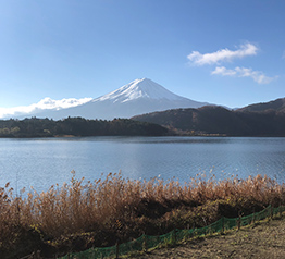 奥河口湖と富士山