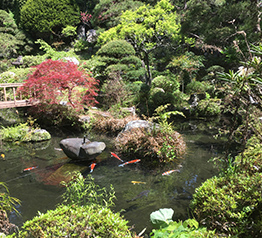 夢窓国師の日本庭園