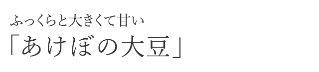 ふっくらと大きくて甘い「あけぼの大豆」