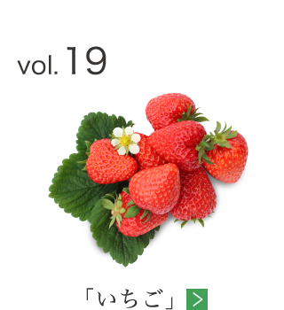 vol.19 「いちご」