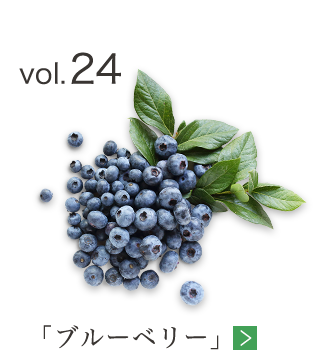 vol.24 「ブルーベリー」