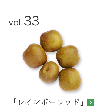 vol.33 「レインボーレッド」
