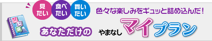 見たい　食べたい　買いたい　色々な楽しみをギュッと詰め込んだ!　あなただけの やまなしマイプラン