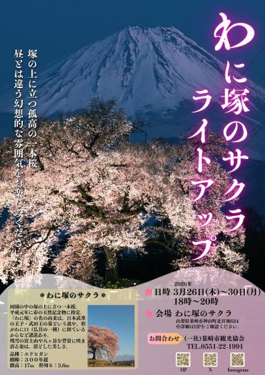 「わに塚のサクラ」ライトアップ2026