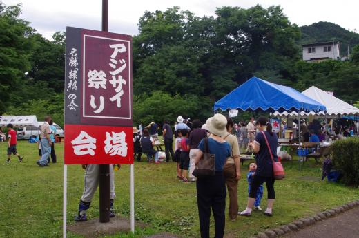 猿橋あじさい祭り7