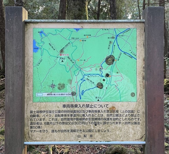 aokigahara2022pt3